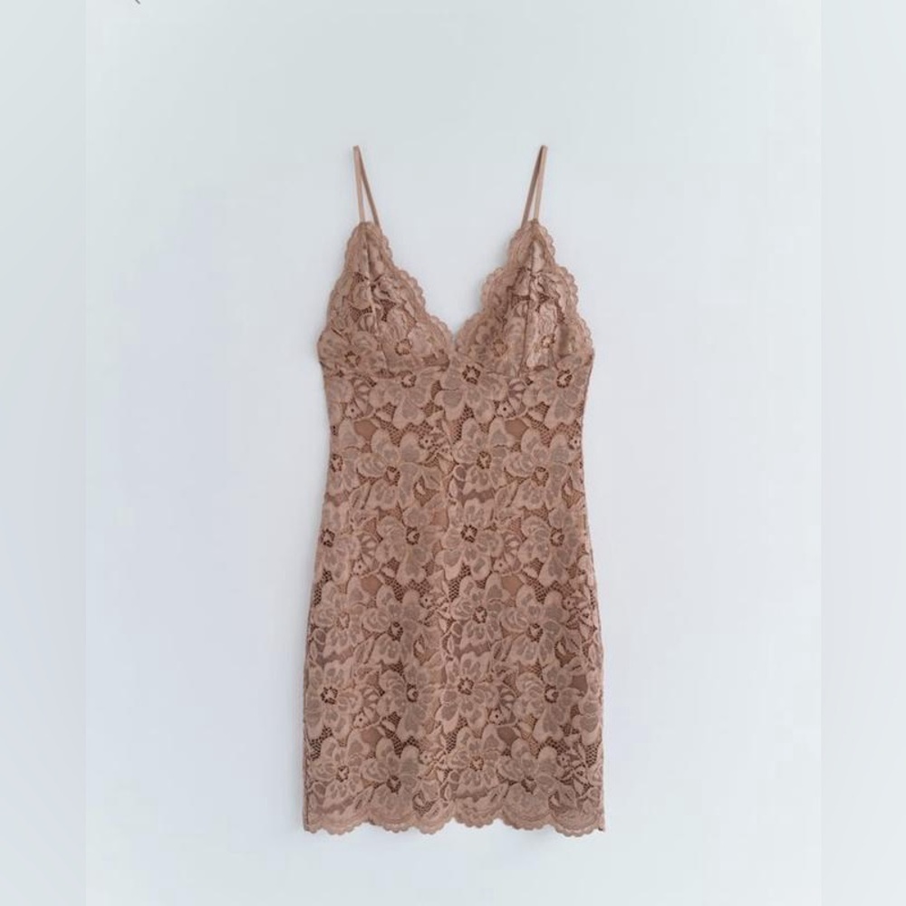 Zara Nude Lace Mini Dress